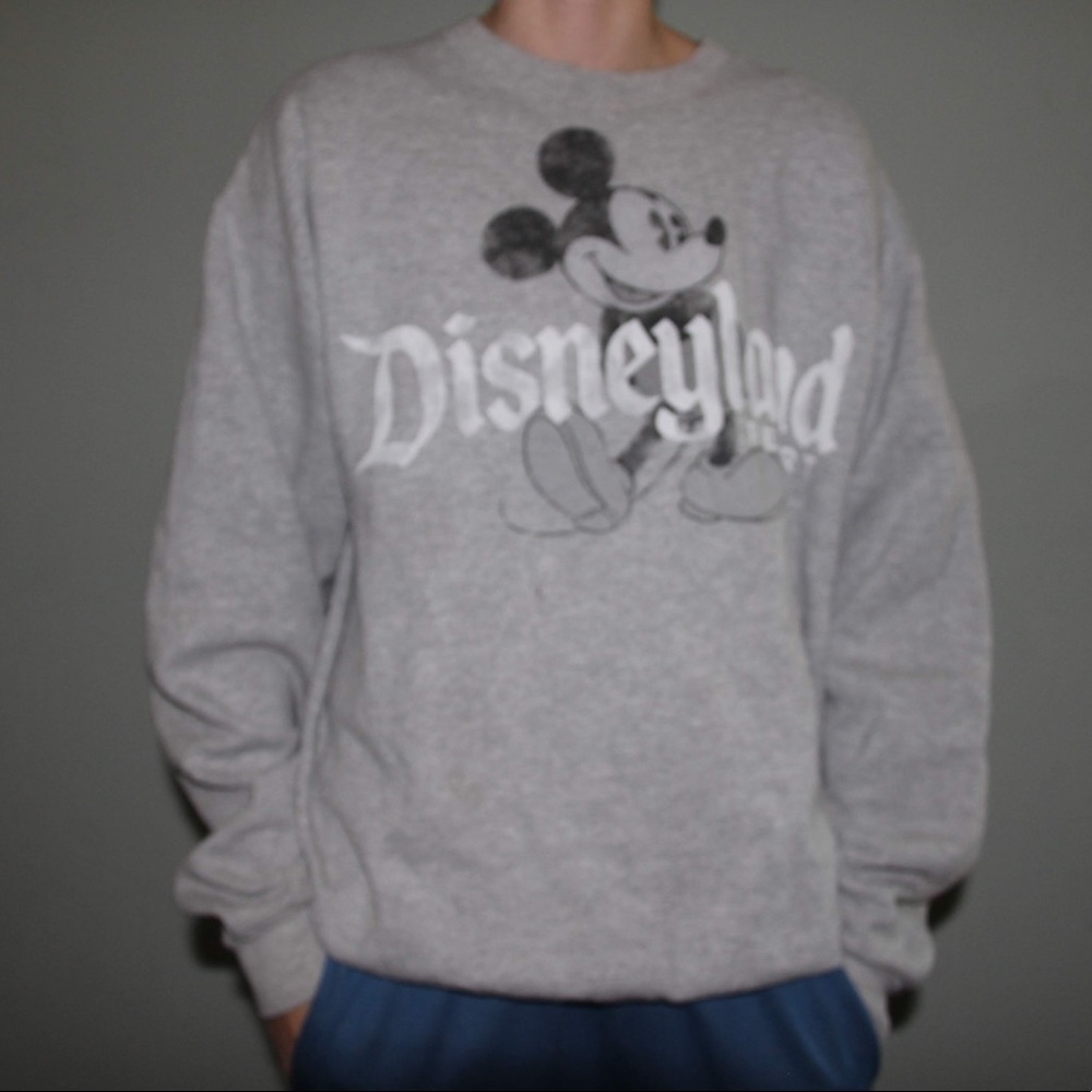 Disneyland pull over